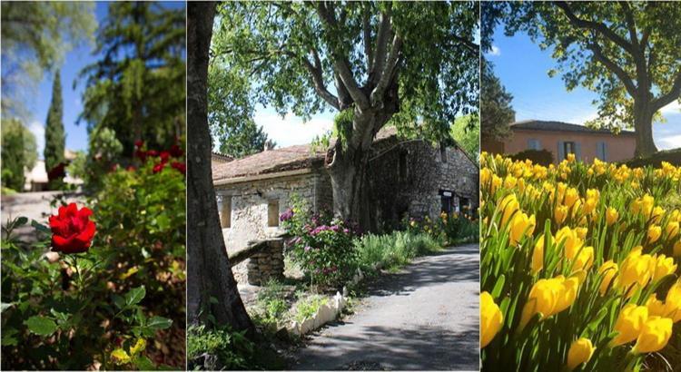 Отель Le Hameau De L'Etoile Saint-Martin-de-Londres Экстерьер фото
